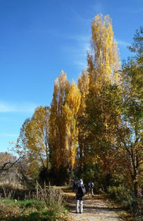 Colores de otoño (vi)