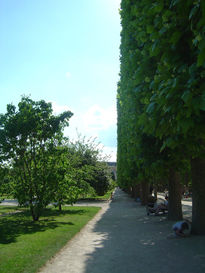 Museo de Plantas