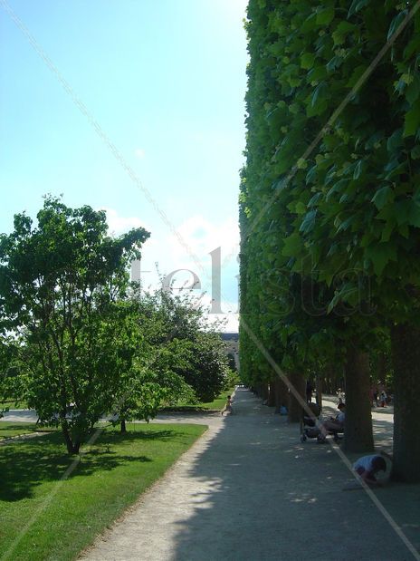 Museo de Plantas