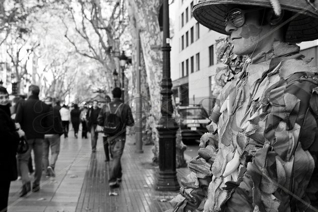 Rambla ( obert tots els dies) 