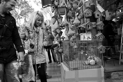 Rambla ( obert tots...