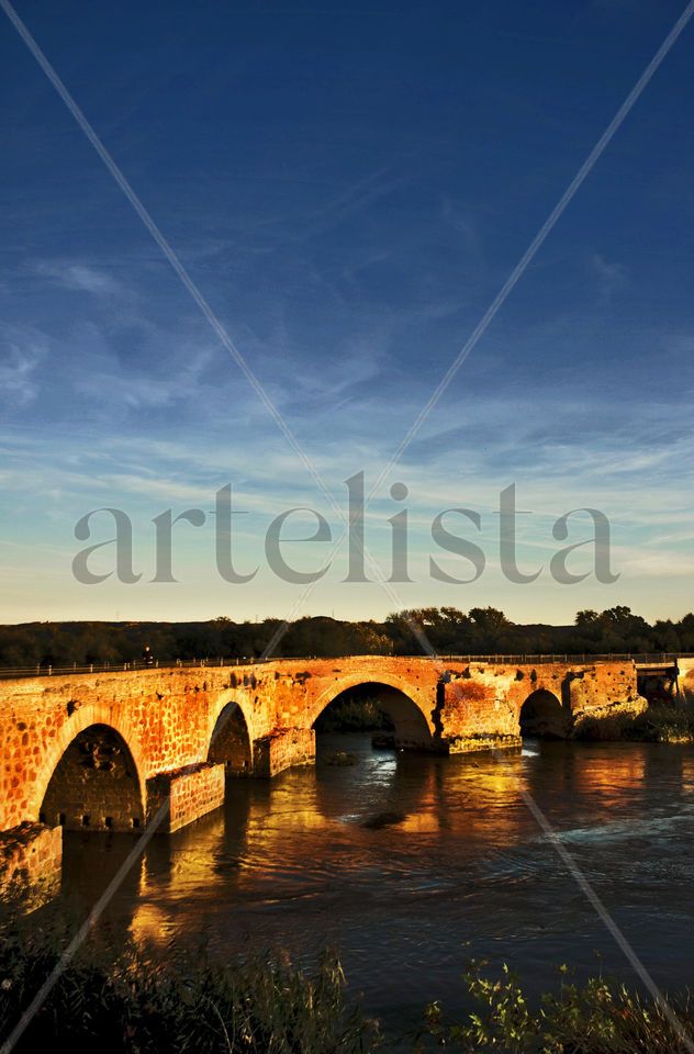 Puente romano Talavera