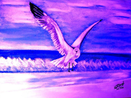 Gaviota en libertad