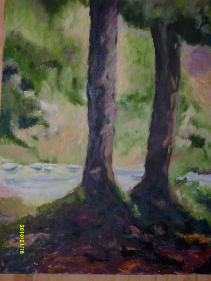 Parque Nonguen