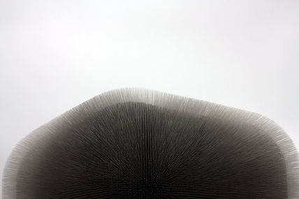 Expo 5