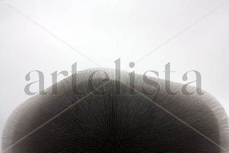 Expo 5
