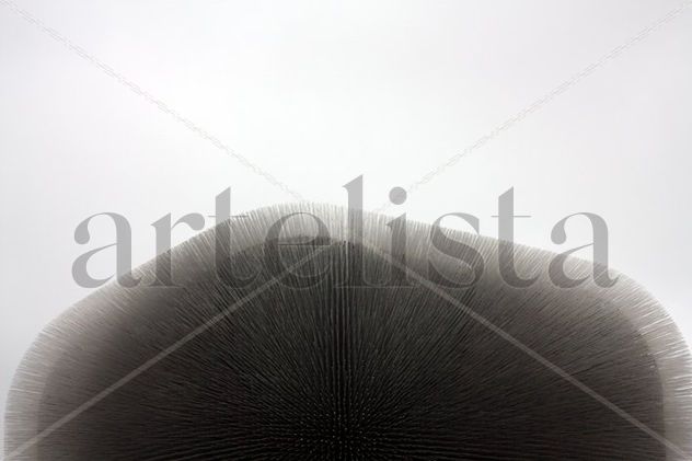 EXPO 5