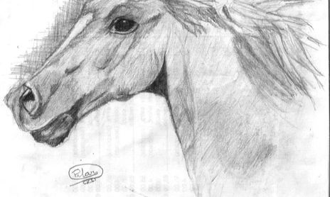 caballos