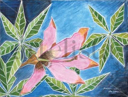 Flor rosada