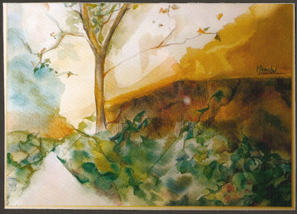Cueva del agua