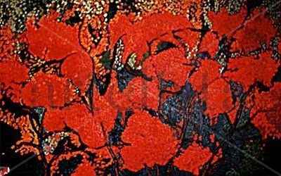 Flores #4