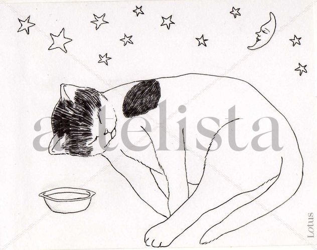 Lady Sleepy under the stars