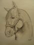 Caballo