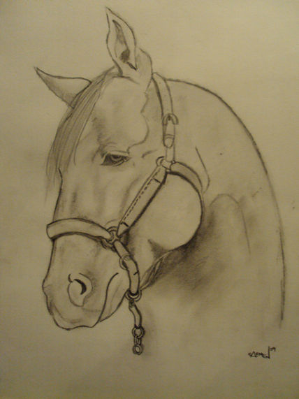 Caballo