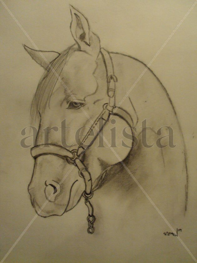 Caballo
