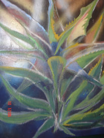 Agaves