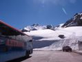 el bus