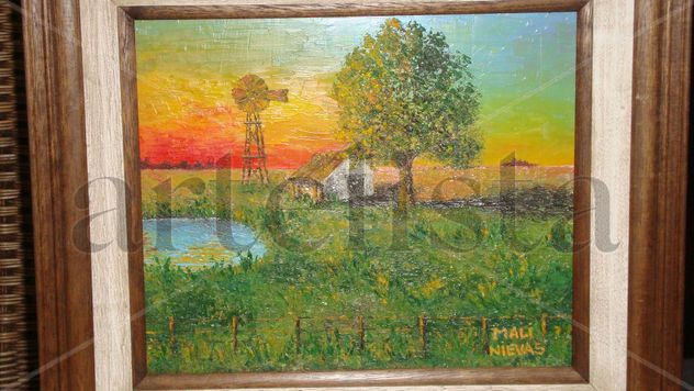 Paisaje de campo. Horas del dìa.