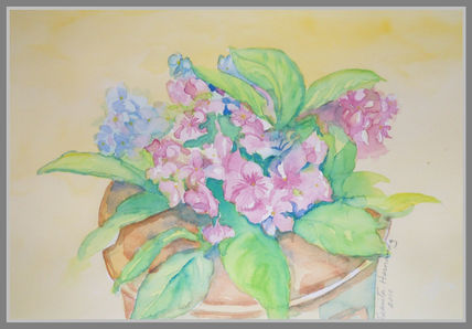 Flores I