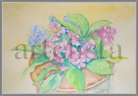 Flores I