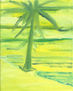 Palmerita