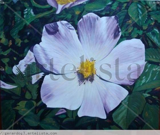 Flor de Zarza Oil Panel Floral Painting