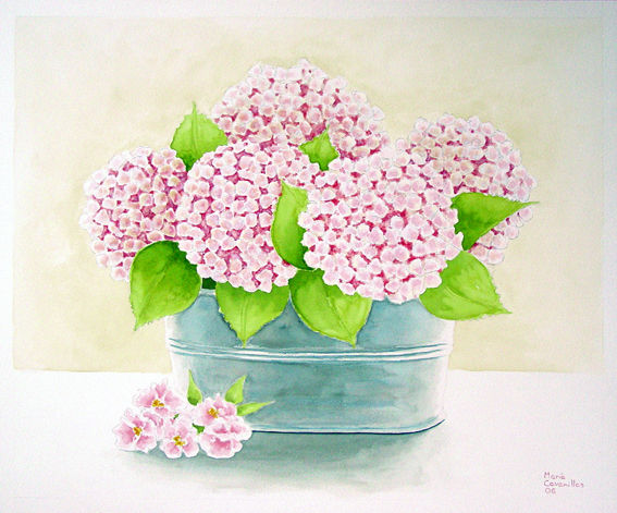 Hortensias rosas Acuarela Papel