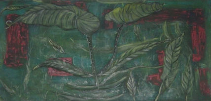 Plantas