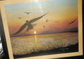 volar