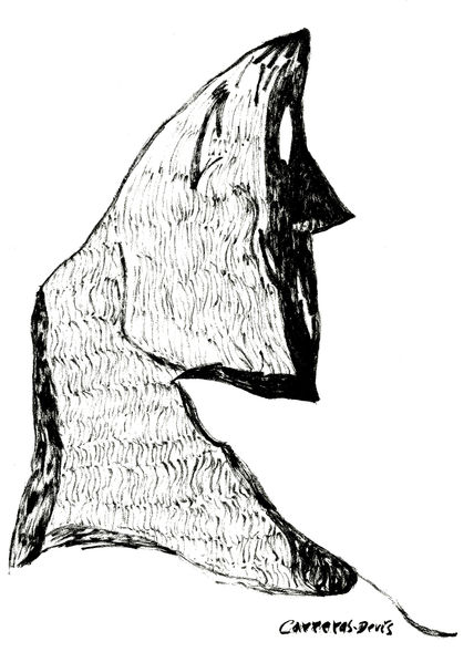 Un perfil