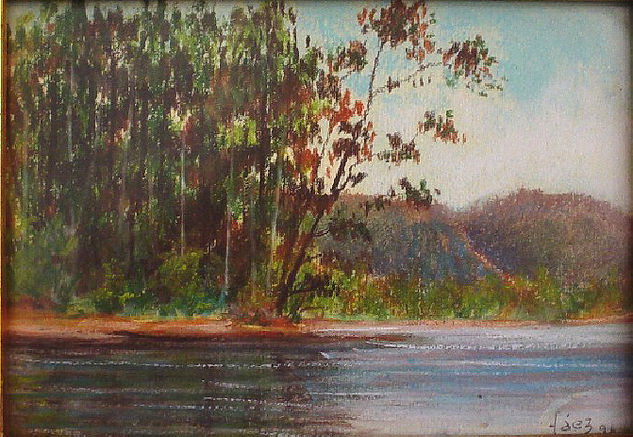 una tarde en el rio maule Pastel Card