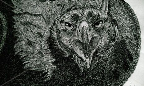 ANIMALES