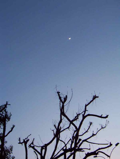 Atardecer en Bucaramanga Naturaleza Color (Química)