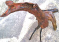 LITTLE HORSE