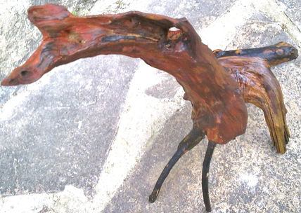 Little horse