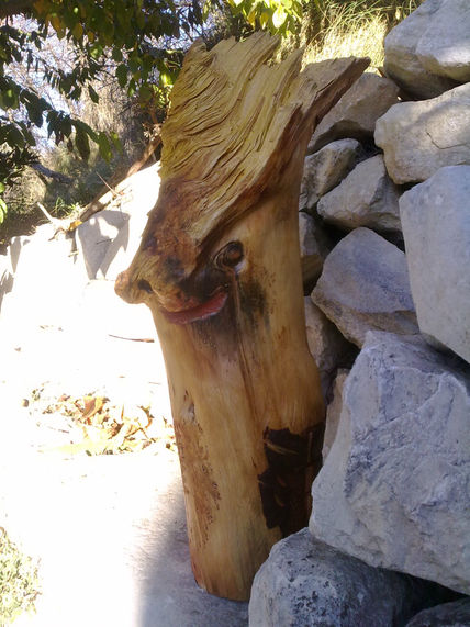 Pina albina