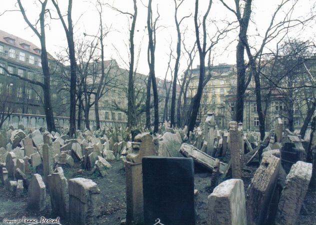 El Cementerio-Graveyard