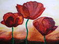 AMAPOLAS