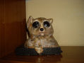 cabeza lemur