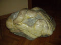 relieve en piedra