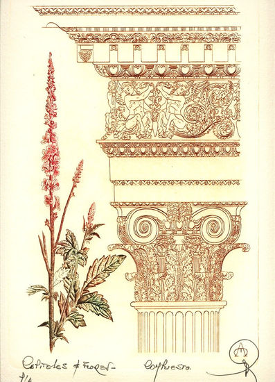 Capiteles y Flores - Orden compuesto Rotogravure