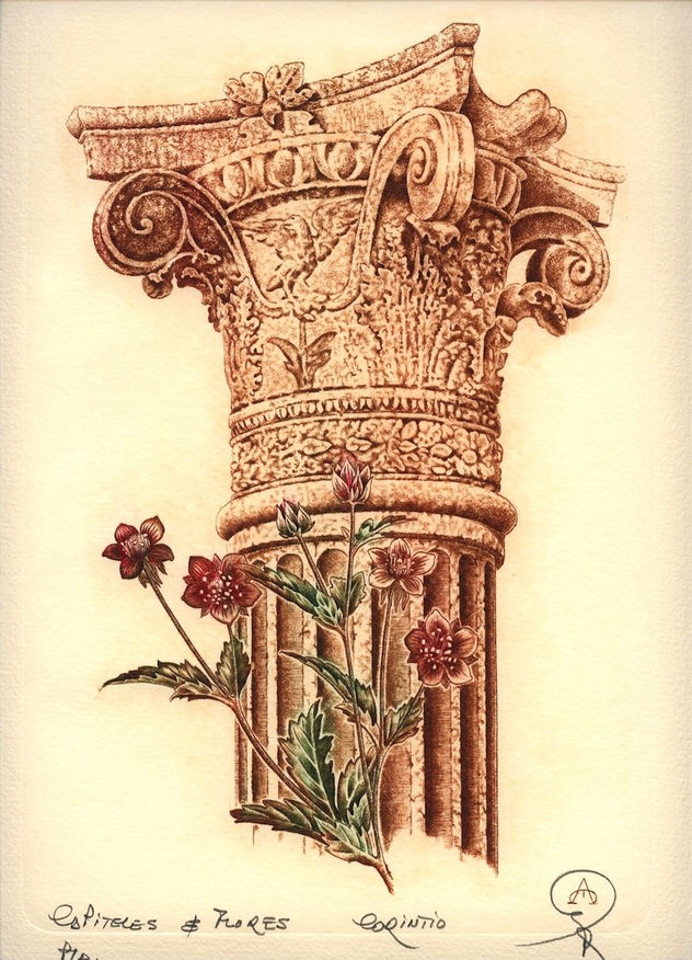Capiteles y Flores - Orden corintio