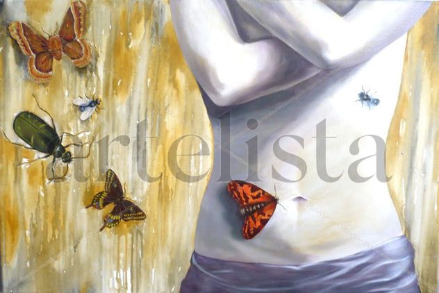 insectos