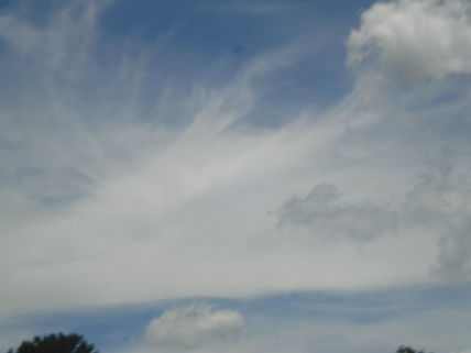 Viento