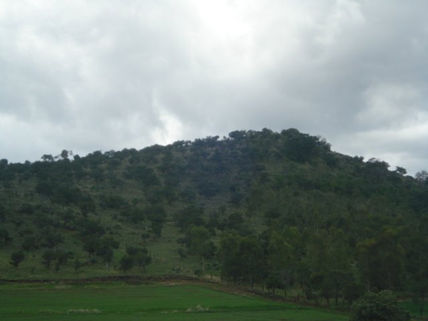 Cerro