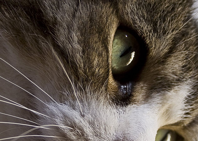 García
