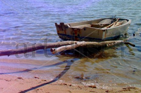 La barca