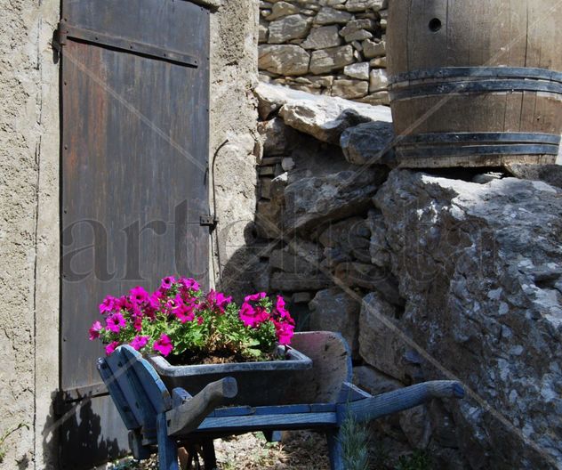 INSTANTES PROVENZALES