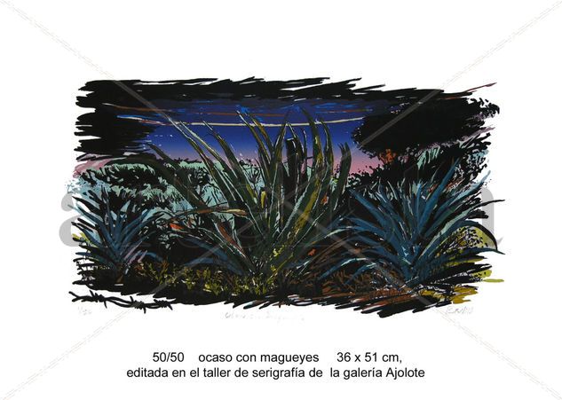 ocaso con magueyes 