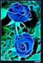 Rosas Azules